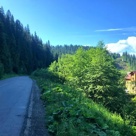 під магурою Guest house